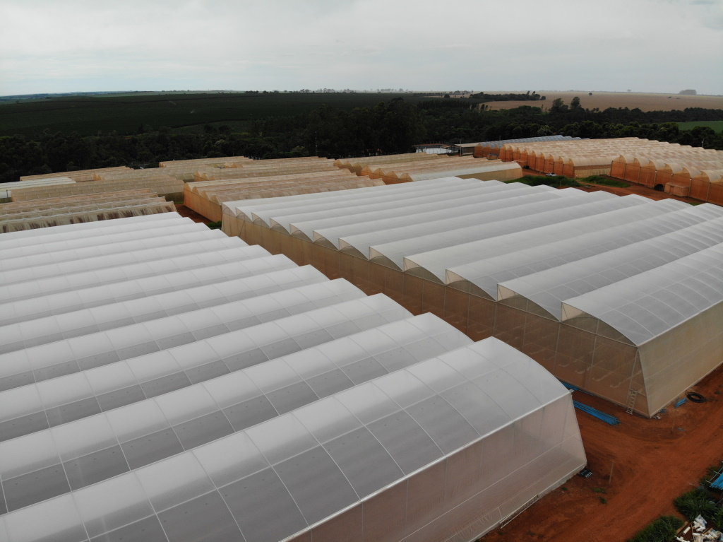 Estufa agrícola